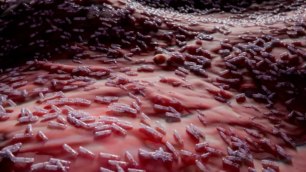 Nueva enfermedad infecciosa mortal en el mundo, y no es el COVID