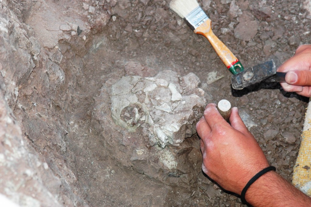 Descubren fósil que sugiere que los humanos se originaron en Europa y no en África