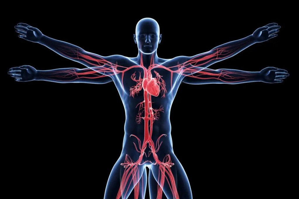 Científicos descubren nuevas formas de vida dentro del cuerpo humano