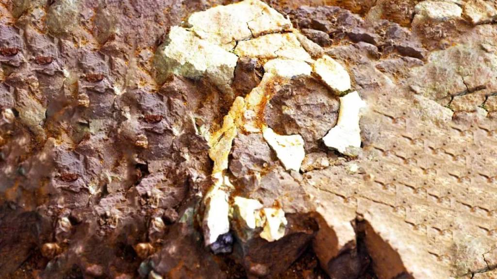 Descubren fósil que sugiere que los humanos se originaron en Europa y no en África