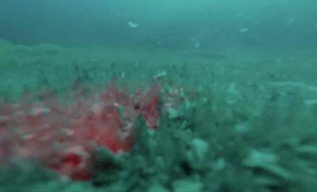 El misterio del lago helado en la Antártida: ¿Qué se esconde a 14 metros bajo el hielo? 1 El misterio del lago helado en la Antártida: ¿Qué se esconde a 14 metros bajo el hielo?