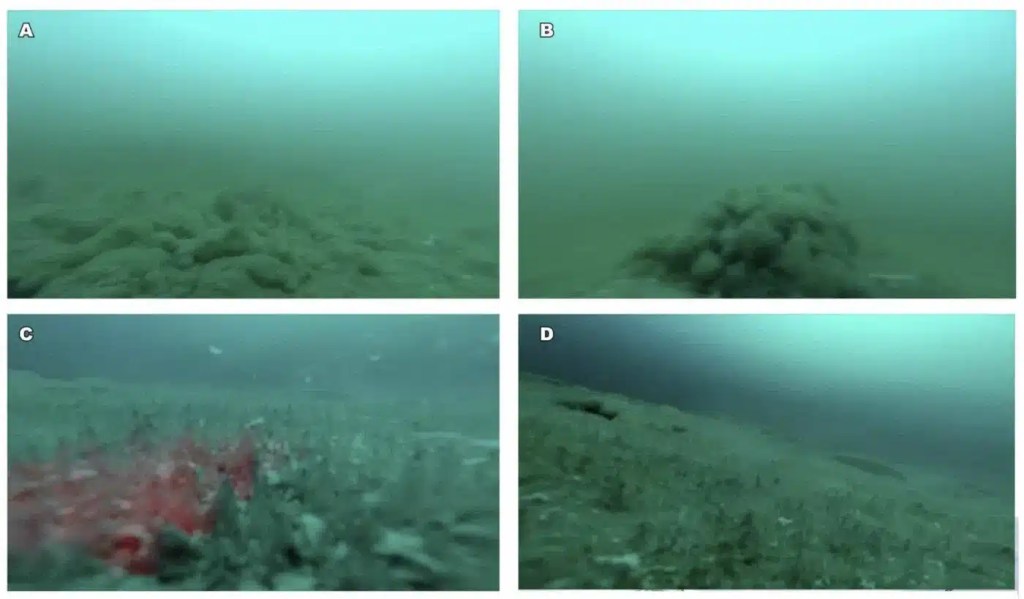 El misterio del lago helado en la Antártida: ¿Qué se esconde a 14 metros bajo el hielo? 2 El misterio del lago helado en la Antártida: ¿Qué se esconde a 14 metros bajo el hielo?