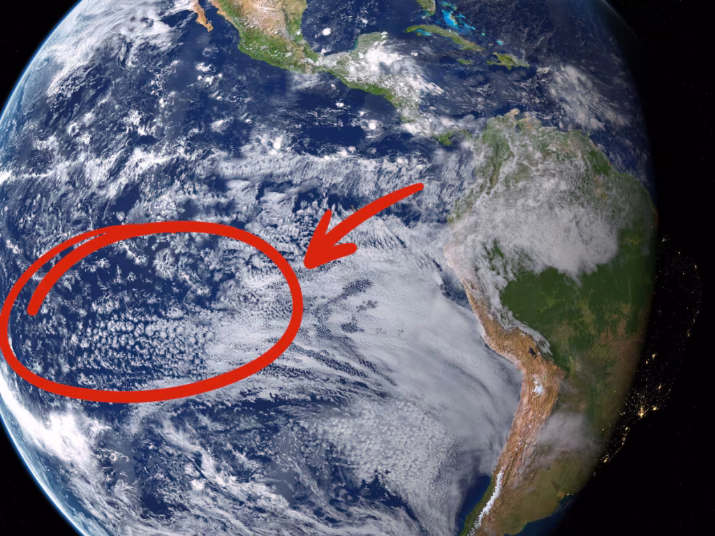 Hacen un descubrimiento histórico bajo el Pacífico después de 200 millones de años