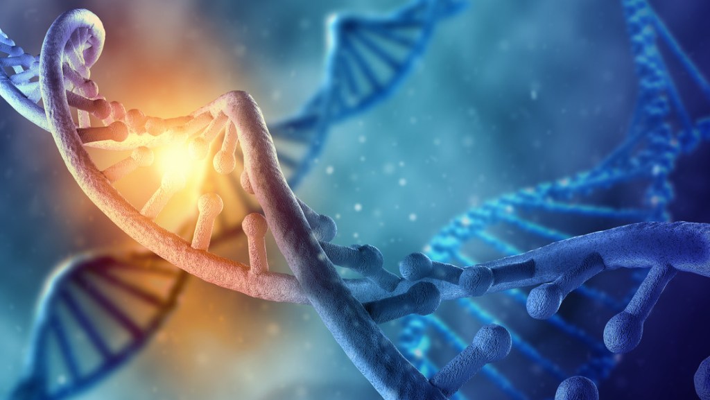 Los científicos podrían haber encontrado rastros de un código genético extinto que existía antes del ADN