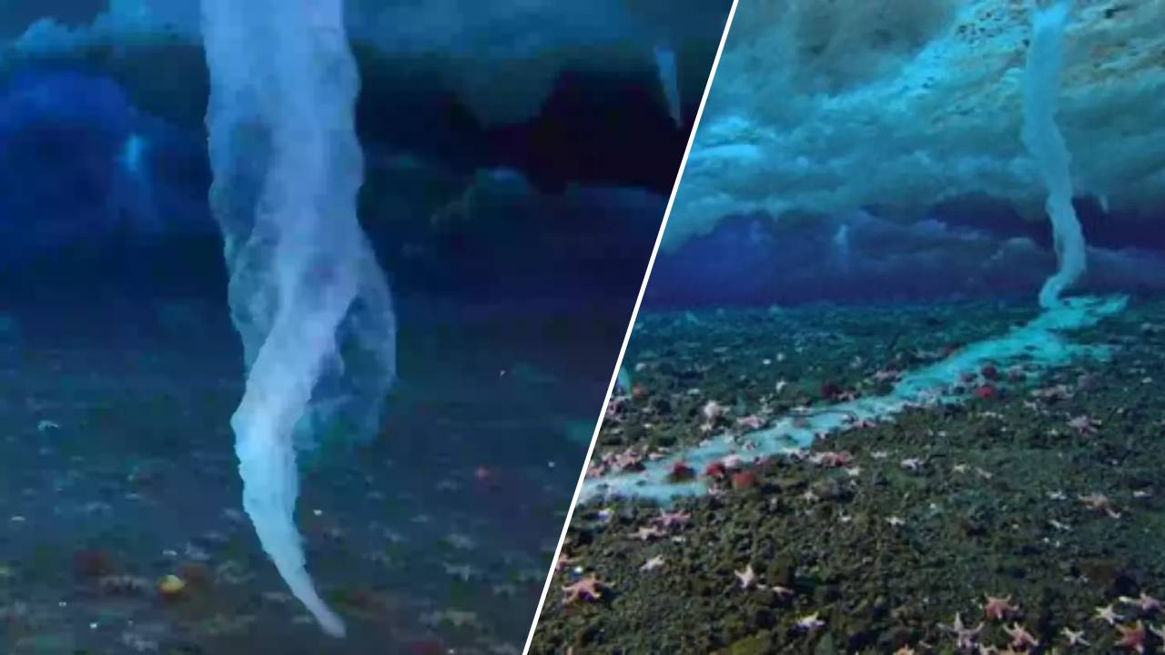 El dedo de la muerte: El fenómeno letal que congela la vida marina