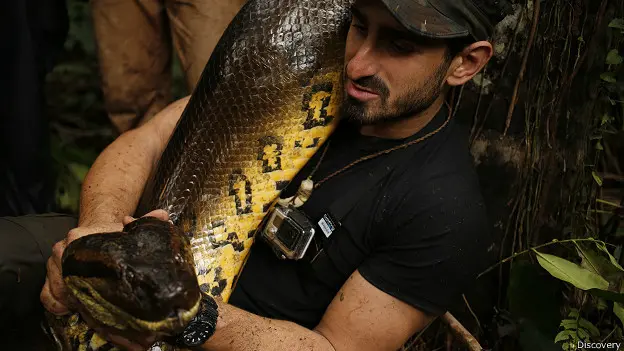 Experimento extremo: Un hombre intentó ser devorado por una anaconda 2 anaconda - anaconda