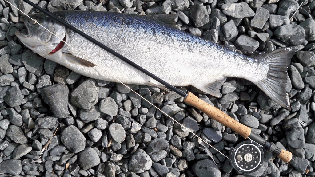 Científicos descubren el primer animal que no respira oxígeno