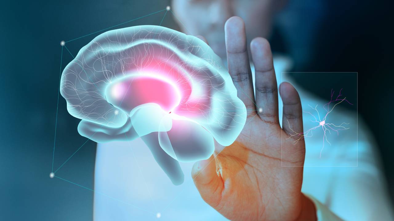 envejecimiento cerebral