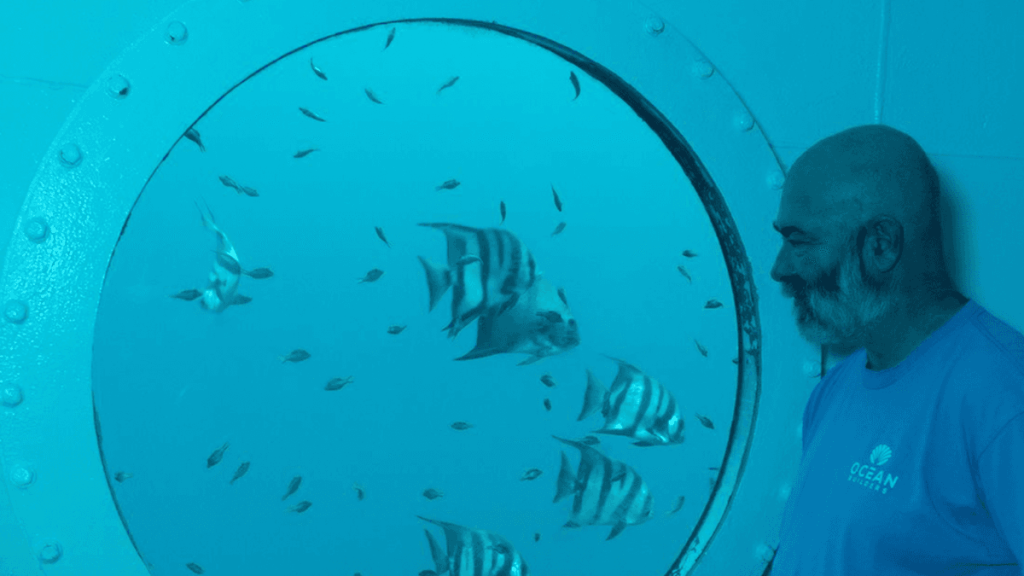 ingeniero,alemán - ingeniero