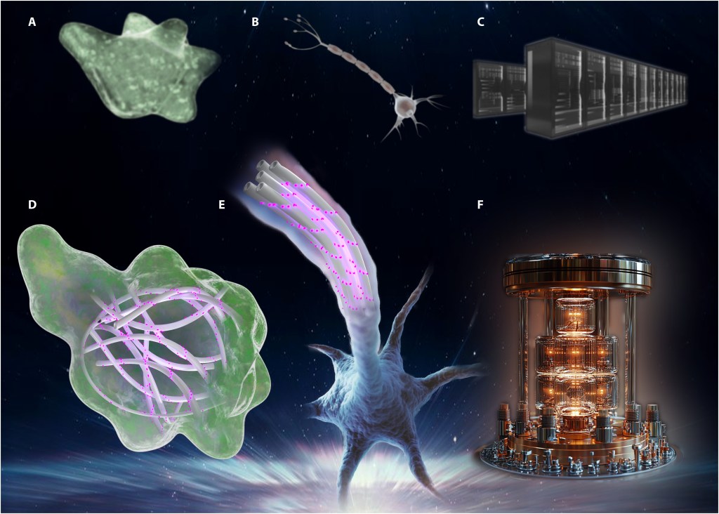 cuántica - cuántica