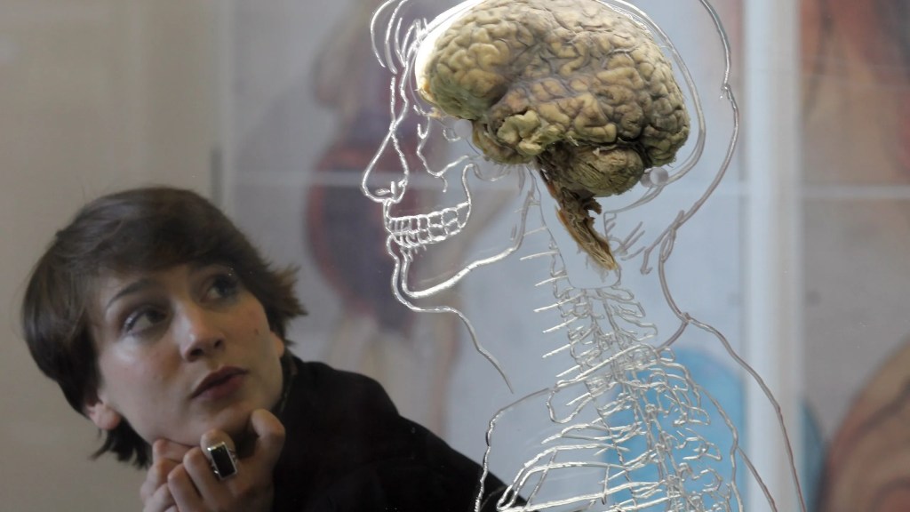 Un adolescente de Países Bajos despertó de una cirugía hablando solamente una lengua extranjera 3 Un adolescente de Países Bajos despertó de una cirugía hablando solamente una lengua extranjero