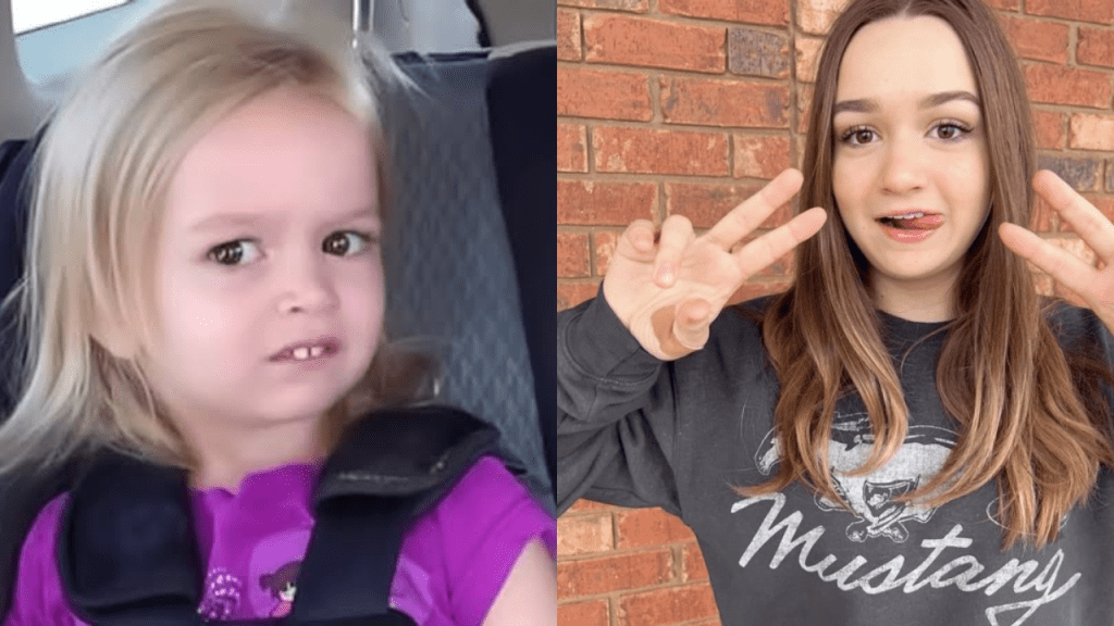 memes vídeos originales mundo