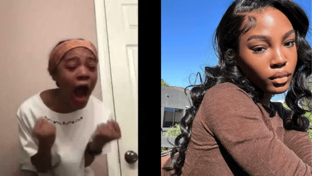 memes,vídeos,populares,mundo - memes