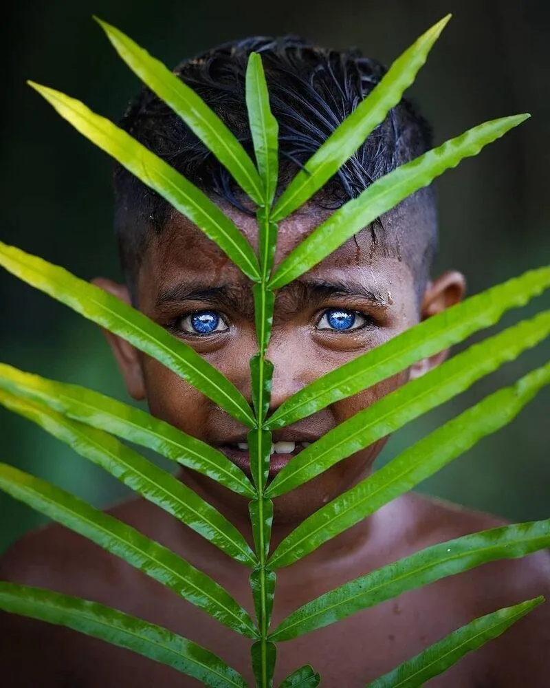 tribu,ojos,azules - tribu