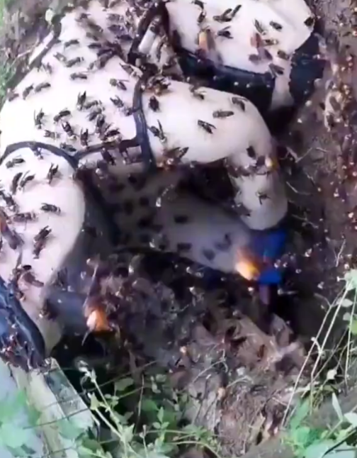 Los trabajos más mortales del mundo: oficios que nadie quiere hacer 12 trabajos - trabajos