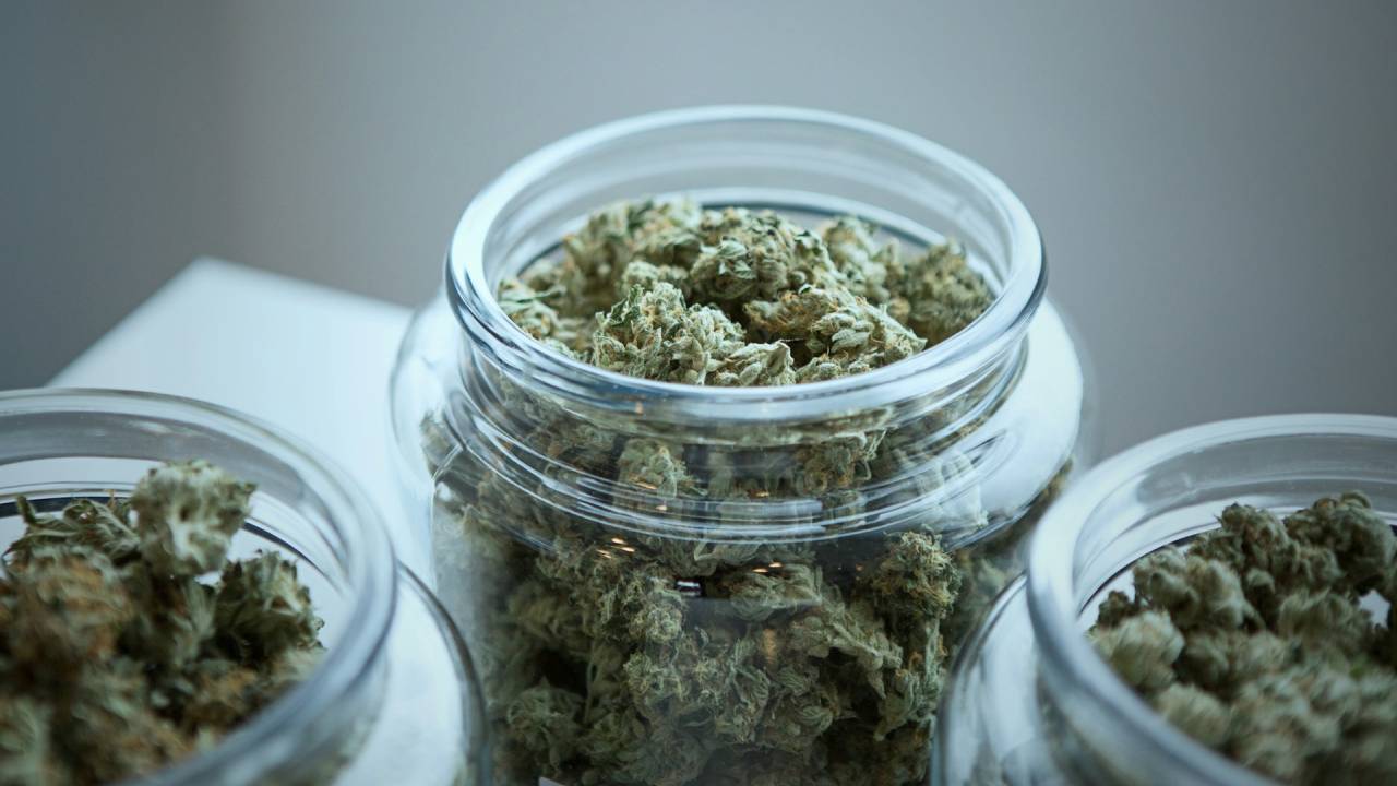 El consumo de cannabis causa grandes cambios en tu ADN