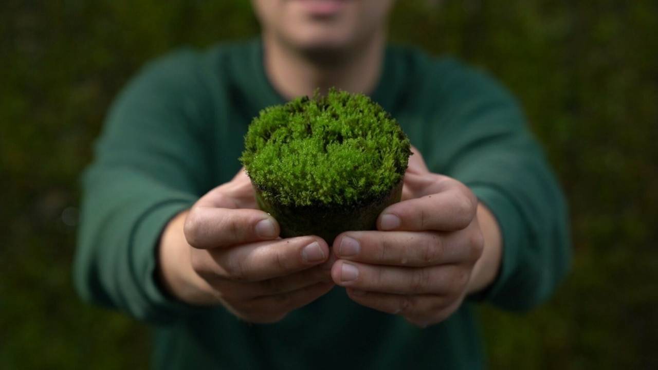 Desarrollan un bio-hormigón que transforma las ciudades en pulmones verdes