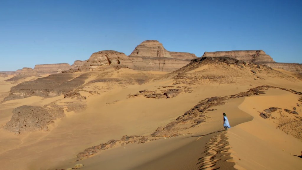 momias,genético - momias