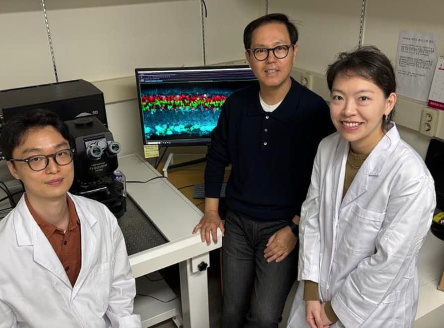 terapia,visión - terapia