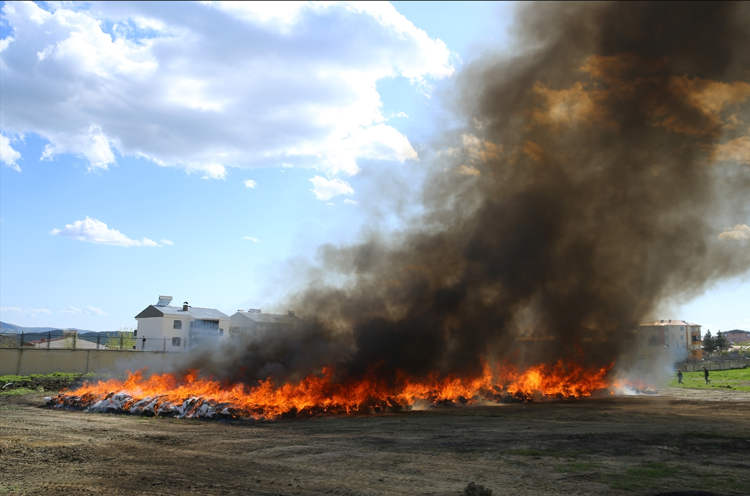 marihuana,ciudad - marihuana