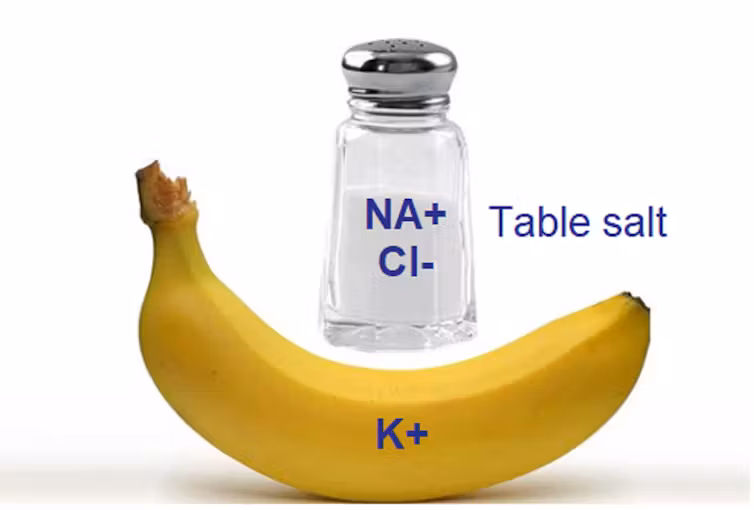 técnica,novedad,estudio - técnica