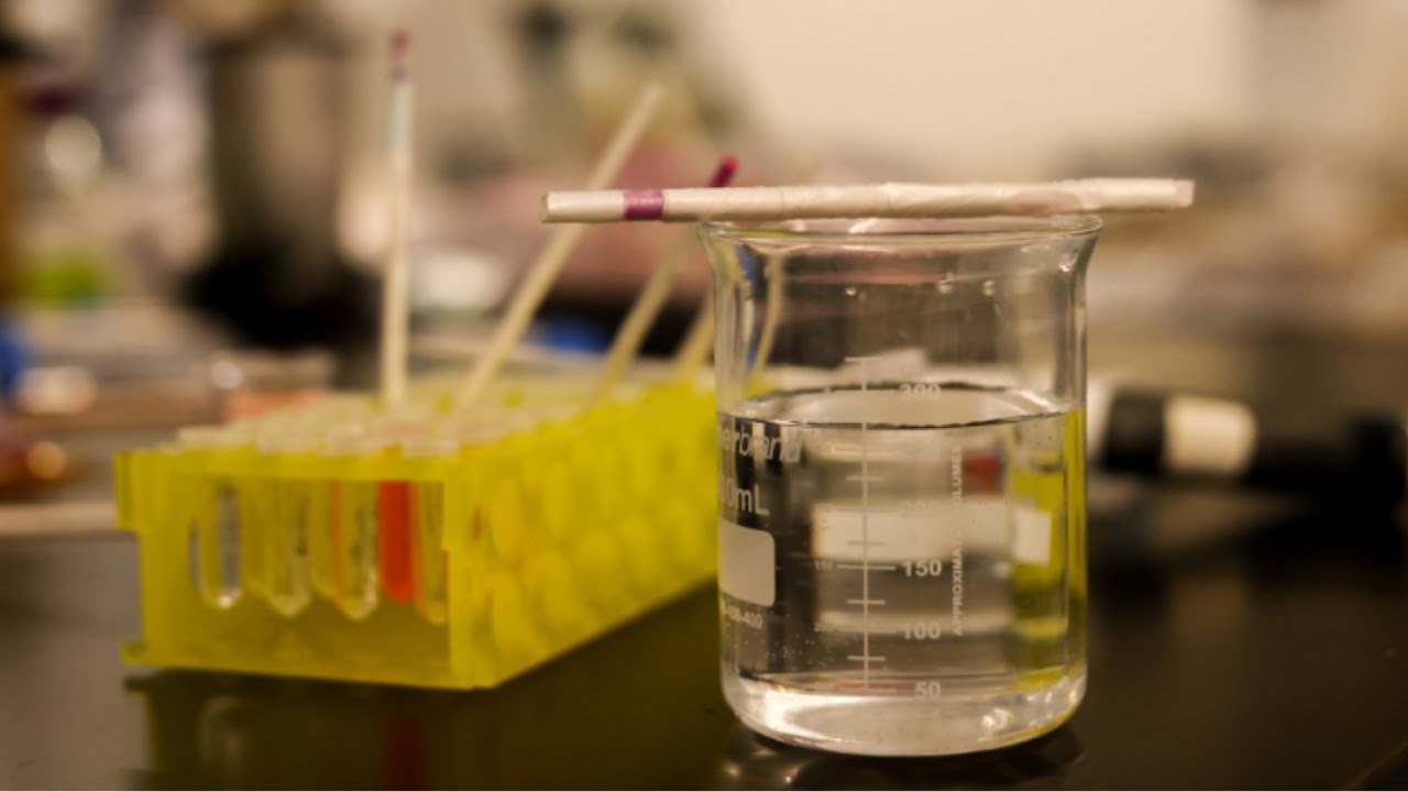 Spikeless: la varilla que detecta drogas en bebidas en 30 segundos y podría prevenir agresiones