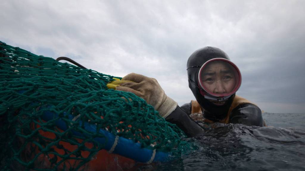 Las haenyeo de Corea del Sur: mujeres que evolucionaron para vivir bajo el mar