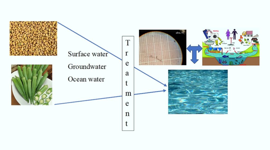 Extractos vegetales eliminan microplásticos del agua con hasta un 90 % de eficacia