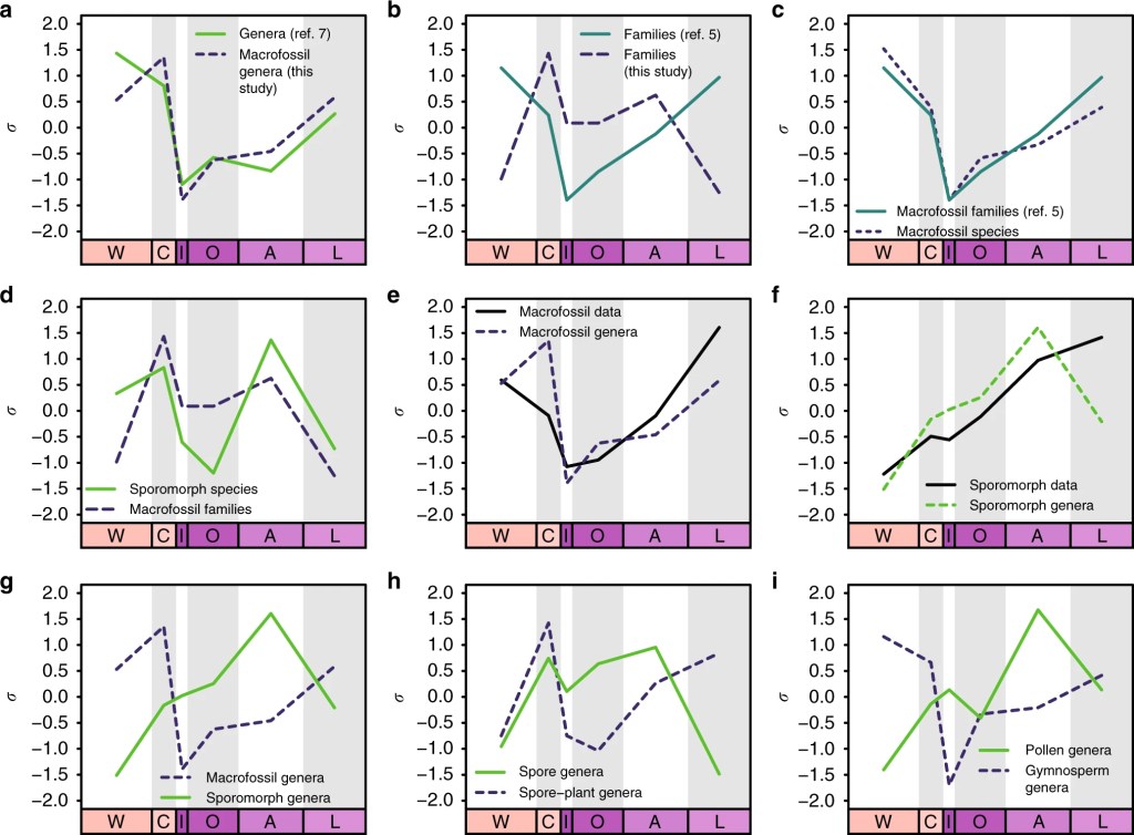 ¿Y si no hubo ninguna extinción masiva en la Tierra? Cada vez se encuentran más pruebas de que nunca existieron