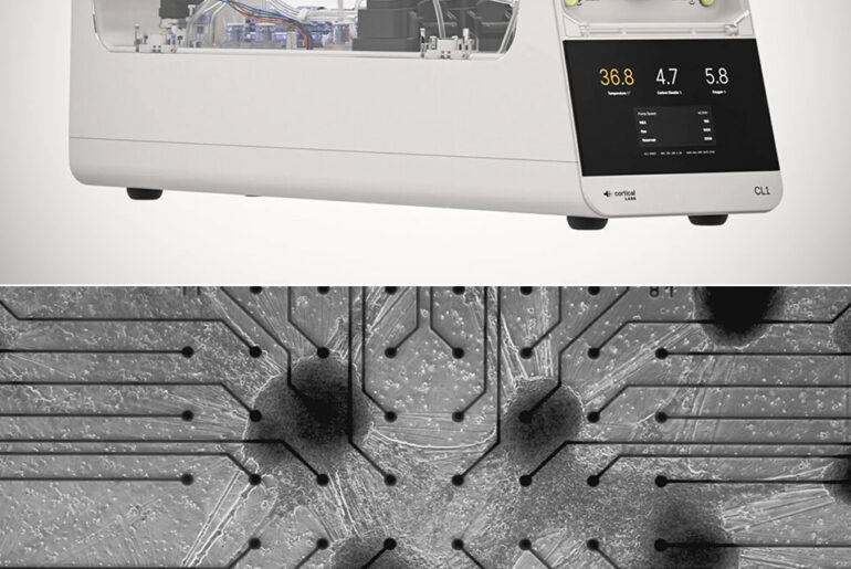 La primera computadora biológica del mundo ya está disponible comercialmente