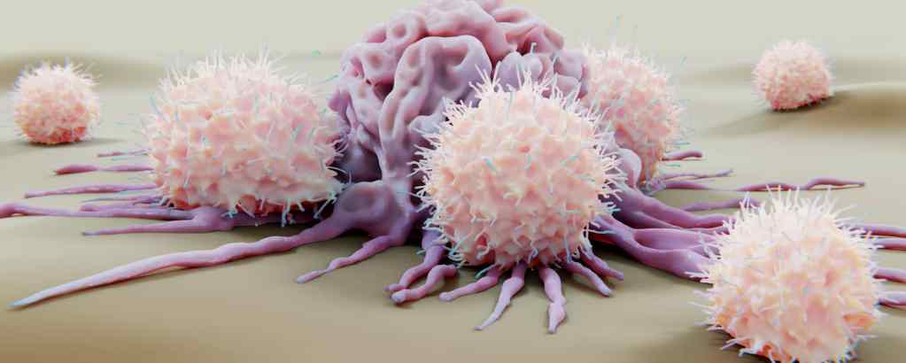 Cómo la naturaleza podría potenciar tu inmunidad contra el cáncer