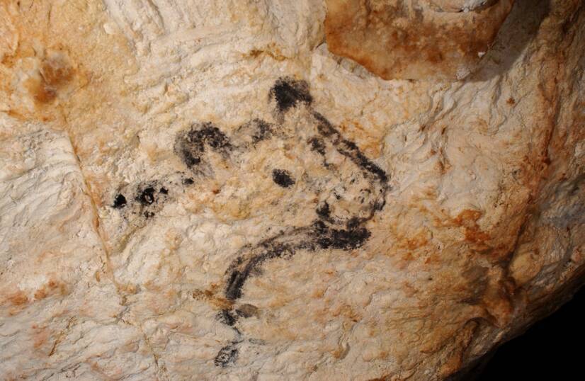 La cueva de Cosquer: el santuario submarino que el mar amenaza con borrar