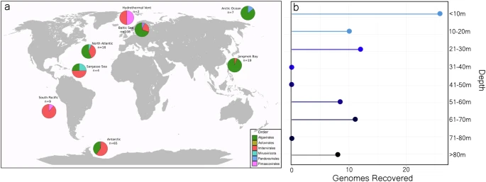 virus gigantes - virus gigantes