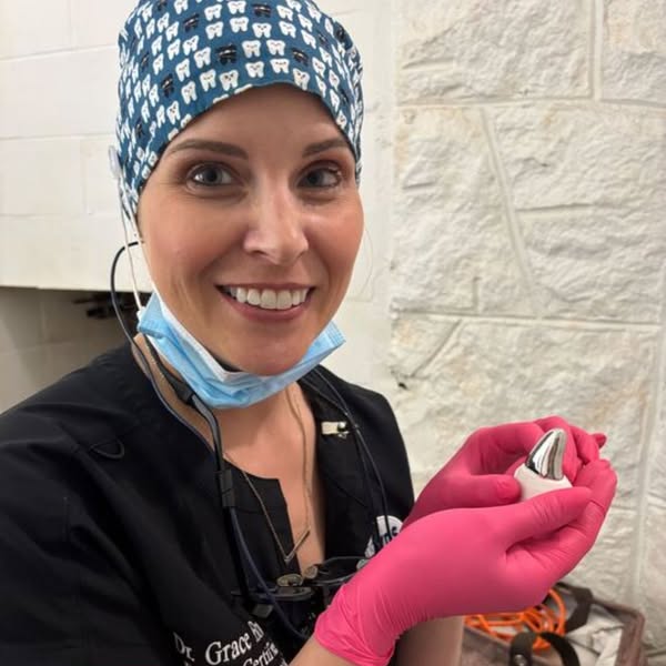 El oso con la mordida más poderosa del mundo: Tundra y su corona de metal gigante 2 Oso,metal - Oso