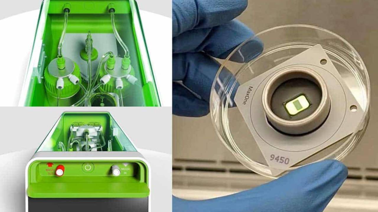 La primera computadora biológica del mundo ya está disponible comercialmente