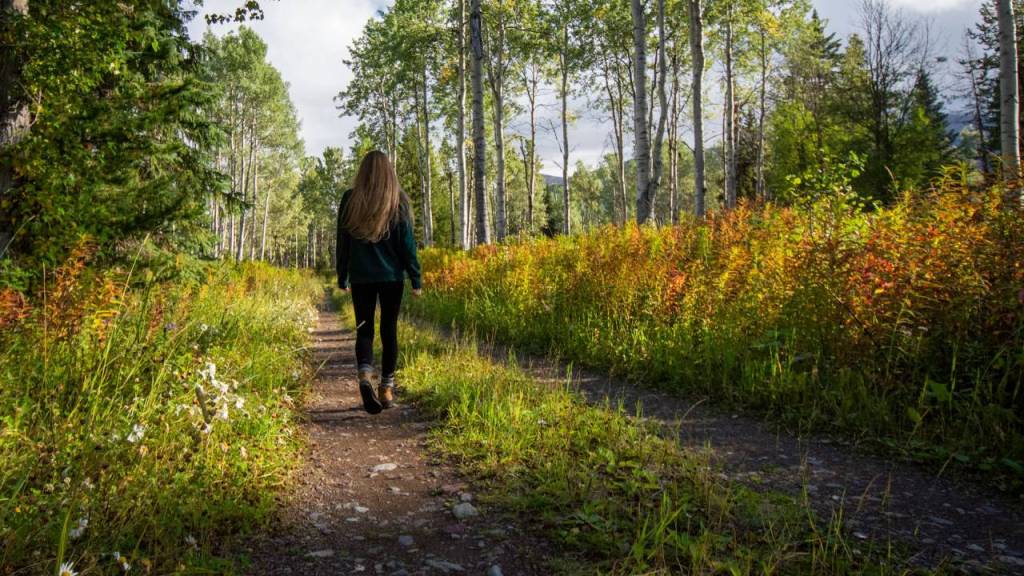 Cómo la naturaleza podría potenciar tu inmunidad contra el cáncer