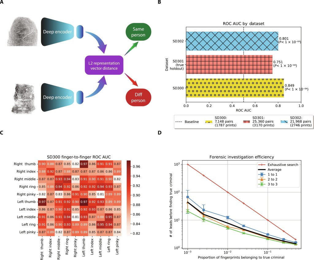 La IA demuestra que las huellas dactilares no son únicas 1 La IA demuestra que las huellas dactilares no son únicas