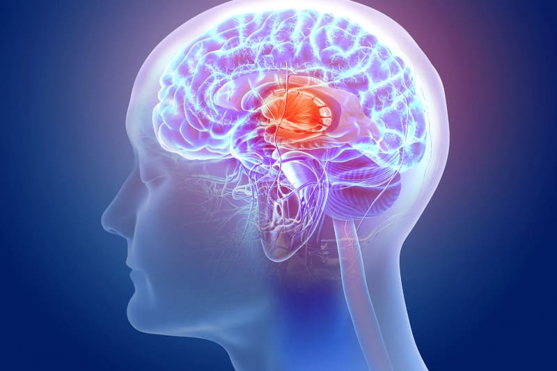 Reutilizar aceite frito podría causar daños cerebrales, según nuevo estudio en ratas