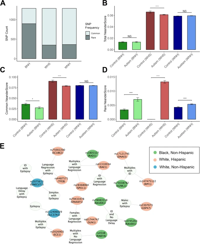 Neandertal - Neandertal
