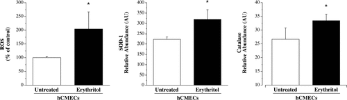 Eritritol - Eritritol