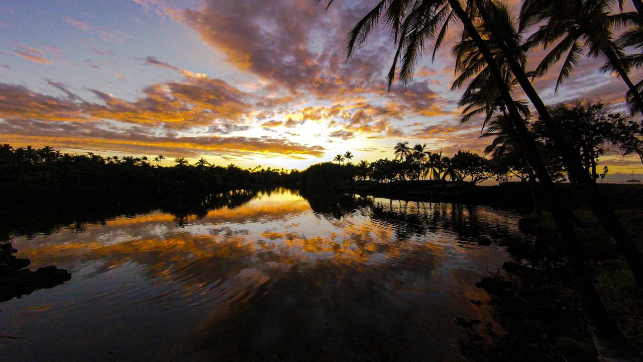 El animal más letal del planeta provoca más de un millón de fallecimientos al año