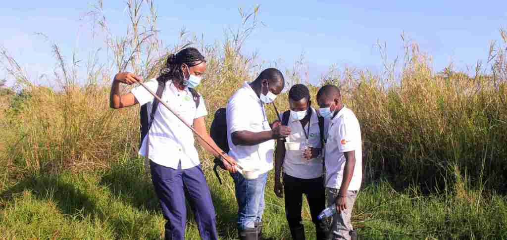 Ivermectina - Ivermectina