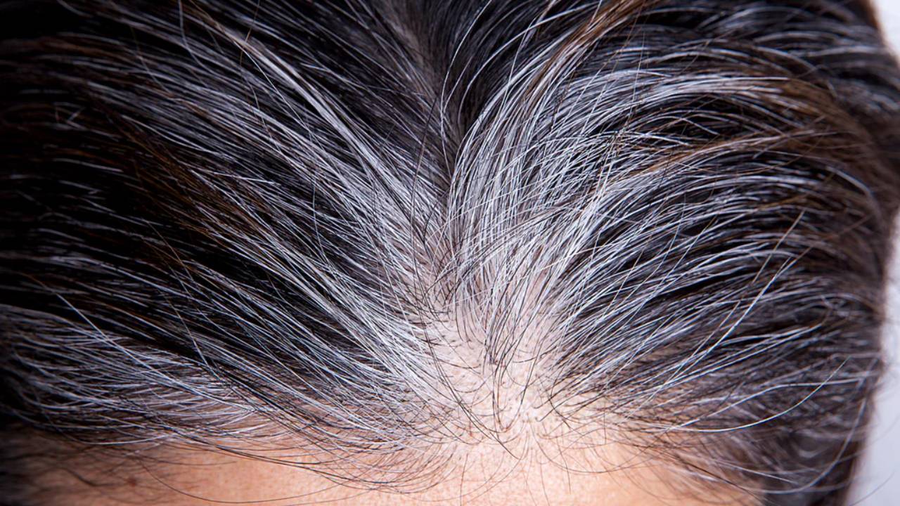 Descubren la clave biológica detrás de las canas, lo que podría revertir su aparición