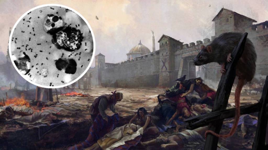 La Plaga de Justiniano podría haber sido la primera pandemia, según el ADN encontrado