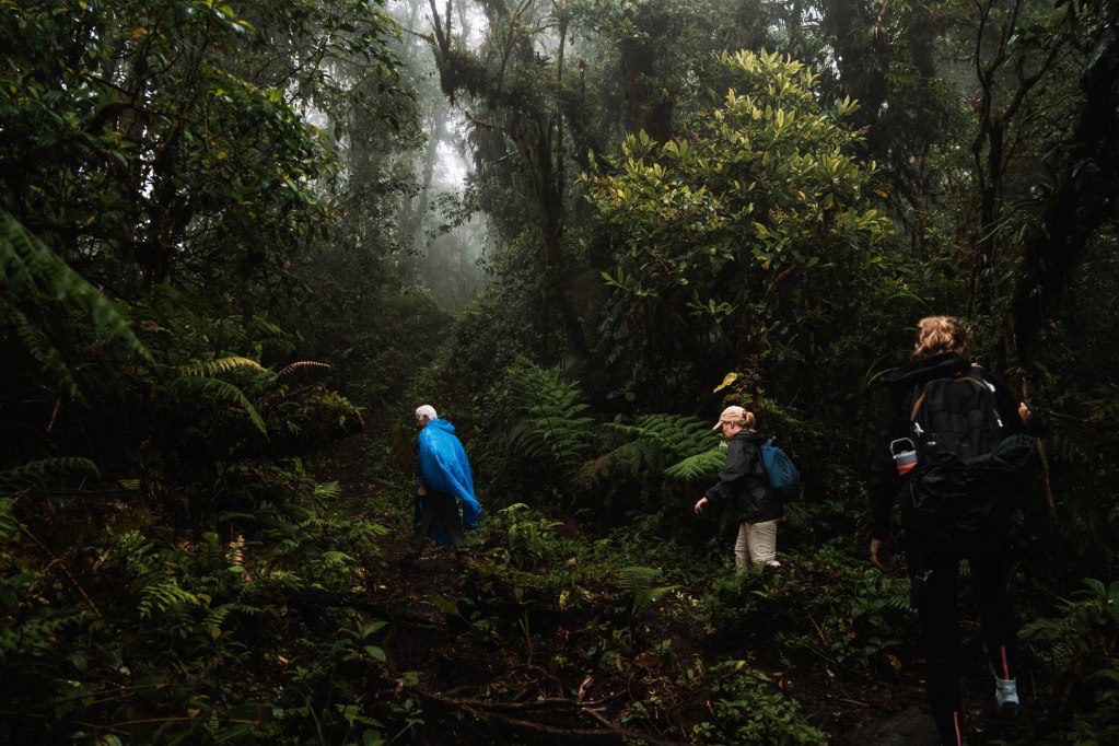 El misterio de la desaparición Kris Kremers y Lisanne Froon: el caso sin resolver de Panamá