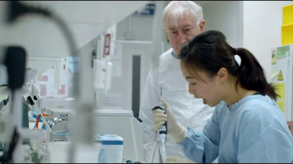 Investigadores logran hacer visible al virus del VIH en las células donde se esconde 2 Investigadores logran hacer visible al virus del VIH en las células donde se esconde