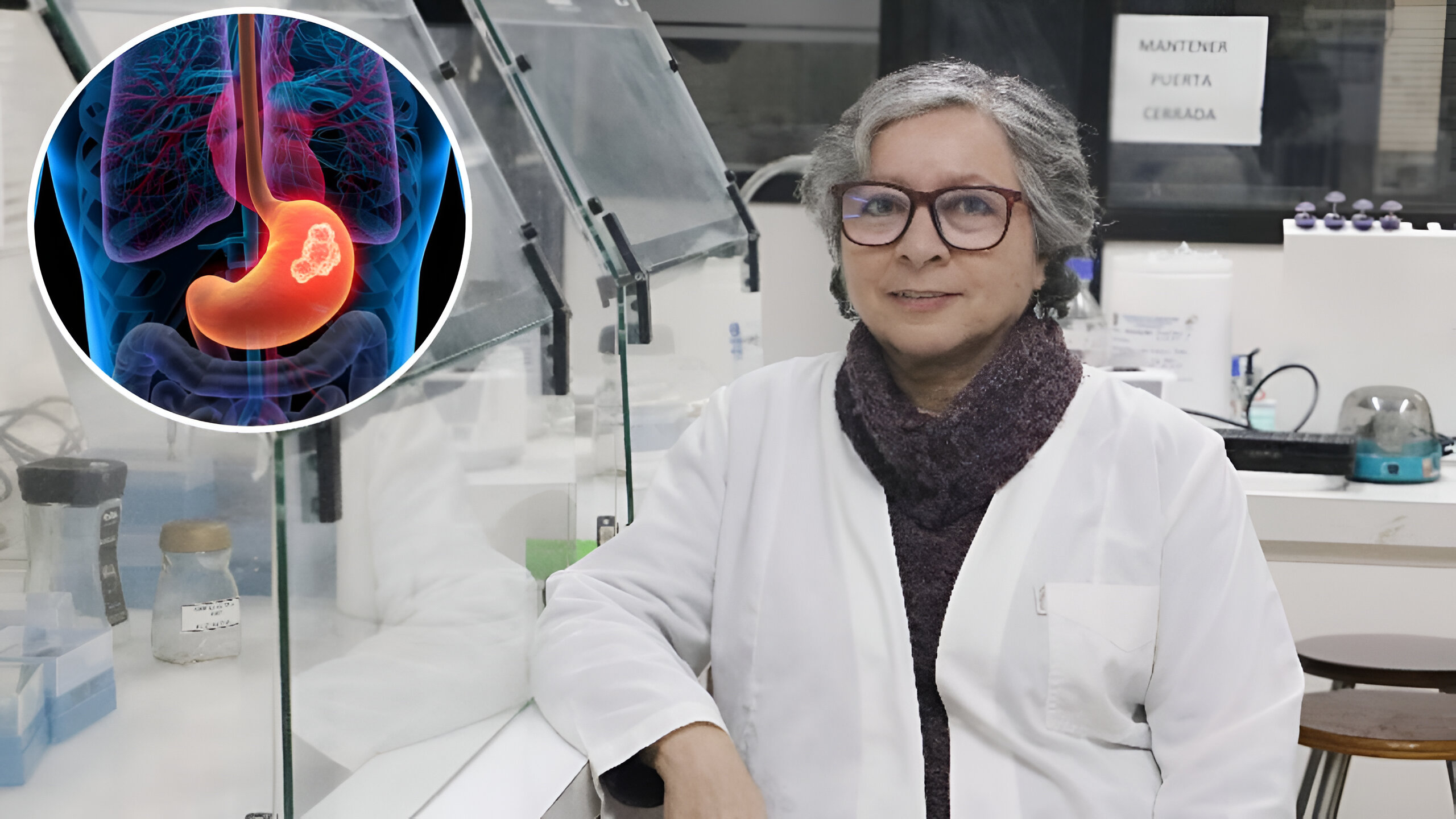 Científica chilena crea probiótico capaz de combatir bacteria asociada al cáncer gástrico