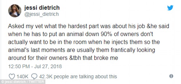 Las mascotas buscan a sus dueños en sus últimos momentos, según un veterinario