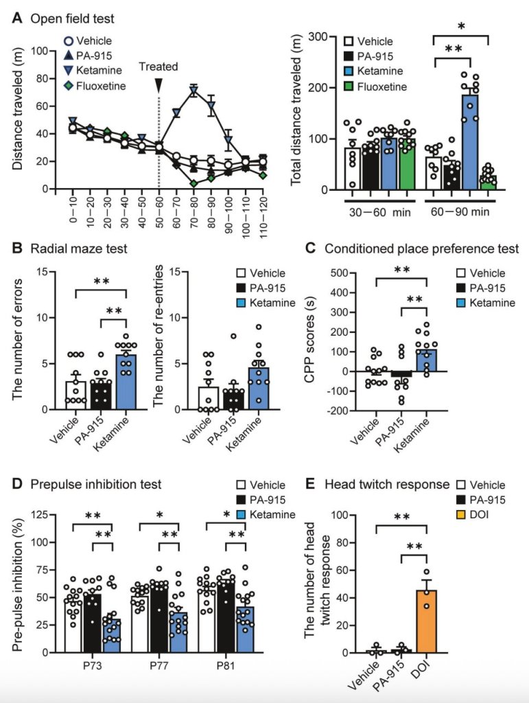 Mólecula - Mólecula