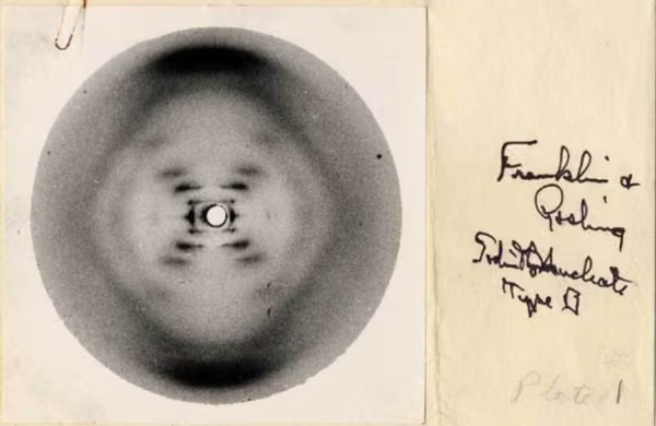 Rosalind Franklin - Rosalind Franklin